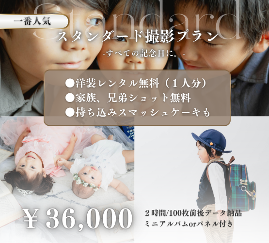 見出しが入ります