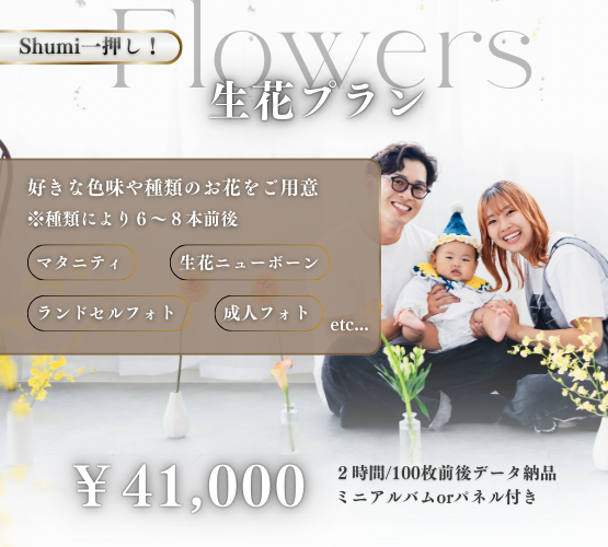 見出しが入ります