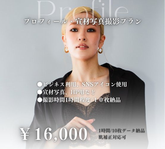 見出しが入ります